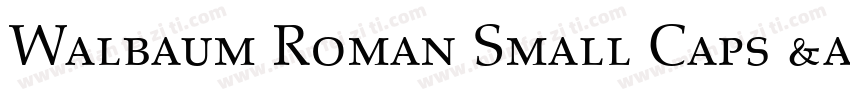 Walbaum Roman Small Caps & Oldstyle Figures字体转换
